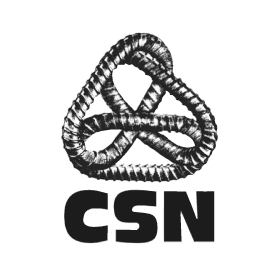 Confédération des syndicats nationaux (CSN)